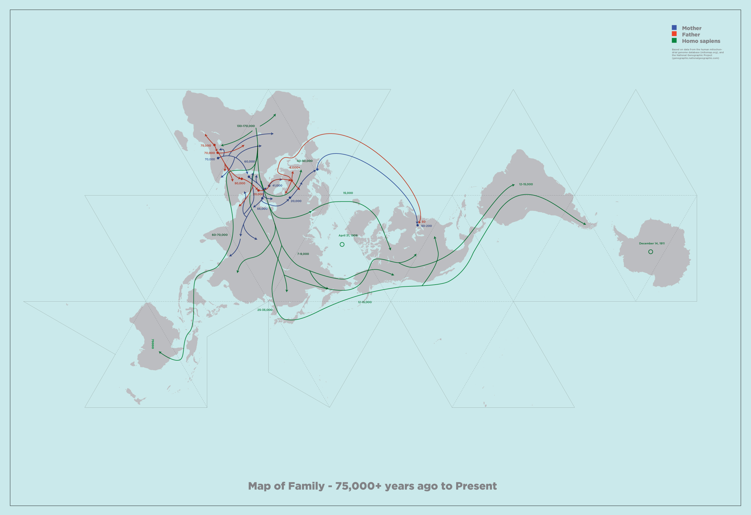 Migration map based on the Dymaxion Projection